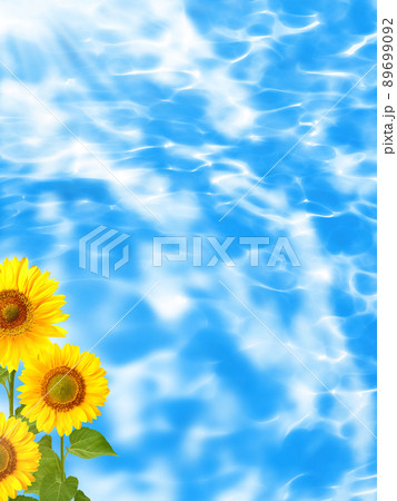背景 ひまわり 向日葵 おしゃれの写真素材