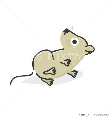 ラット かわいいのイラスト素材