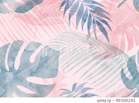 モンステラのイラスト素材