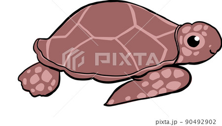 亀の甲羅のイラスト素材