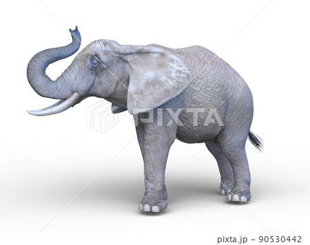 アフリカゾウのイラスト素材