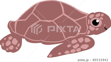 海亀のイラスト素材
