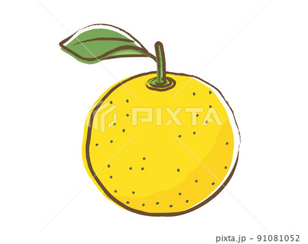 絵手紙 夏のイラスト素材