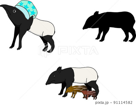 バク 動物 イラスト 素材の写真素材