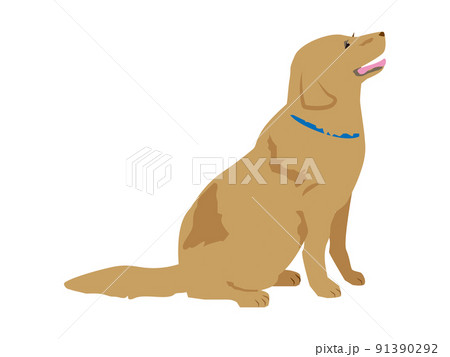 犬 座る おすわり 戌のイラスト素材