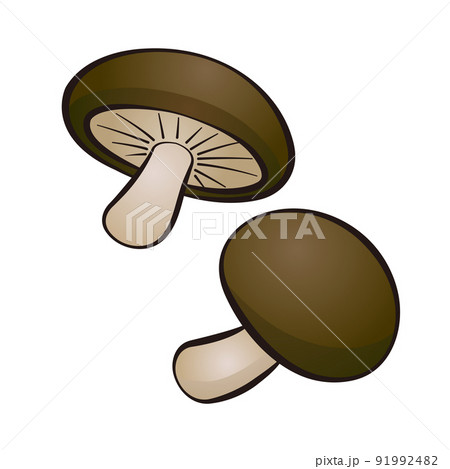 椎茸のイラスト素材