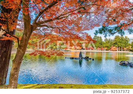 毛越寺の写真素材 - PIXTA 毛越寺の写真素材 - PIXTA