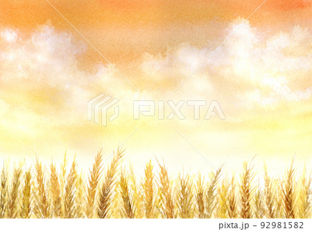 小麦畑のイラスト素材 - PIXTA