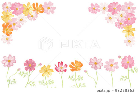 9月の花のイラスト素材