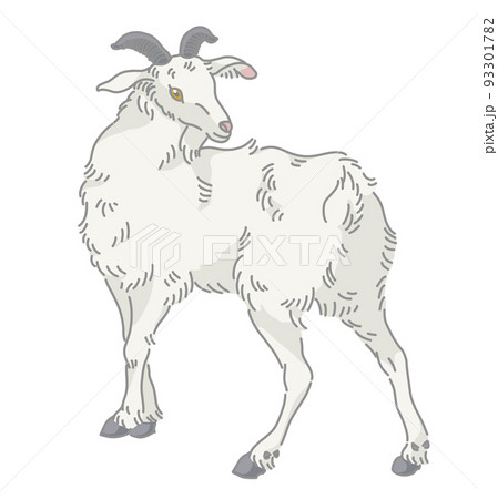 ヤギ 山羊 のイラスト素材集 ピクスタ