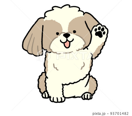 シーズーのイラスト素材