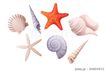 無脊椎動物のイラスト素材 無脊椎動物のイラスト素材