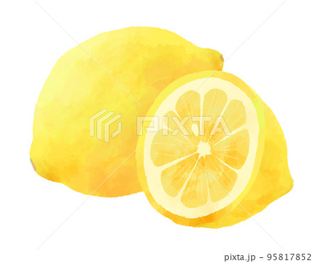 レモン 水彩画 水彩 檸檬のイラスト素材 - PIXTA