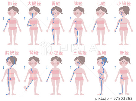 人体経絡図 掛軸　タンカペイント 経絡図
