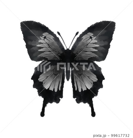 蝶 蝶々 昆虫 水墨画のイラスト素材 - PIXTA