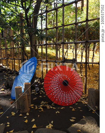 紅葉 落ち葉 傘 和傘の写真素材 - PIXTA