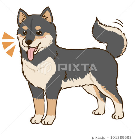【オープニング大セール】 犬 柴犬 日本犬 PIXTA - 黒柴のイラスト素材 絵画