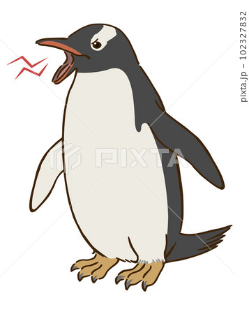 ジェンツーペンギンのイラスト素材 - PIXTA