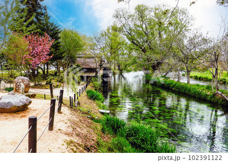 安曇野 清流 水車 水草の写真素材 - PIXTA