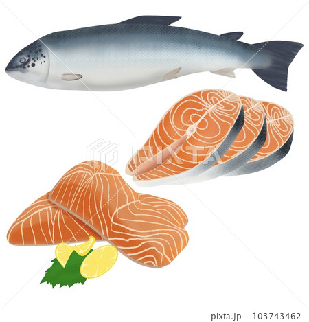 Cartoon salmon slices. Trout and chum salmon - Stock Illustration  [99610332] - PIXTA