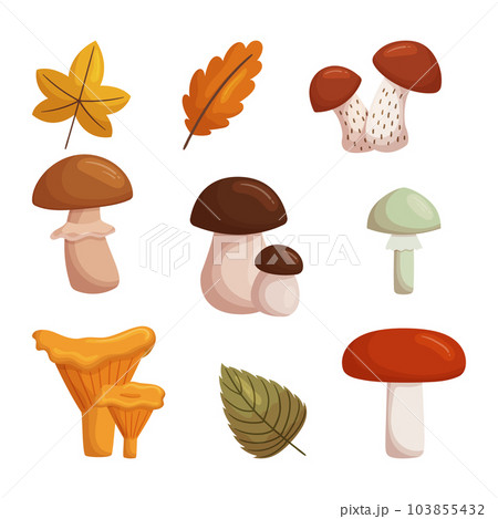 4,490 Mushroom Brush Images, Stock Photos, 3D objects, & Vectors