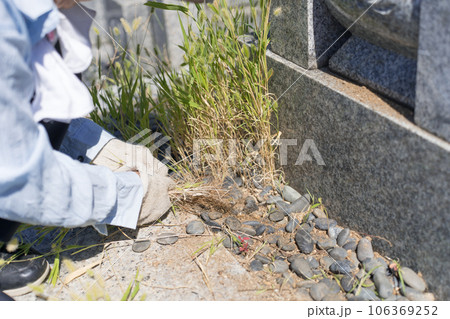 草取り 草むしり 人物 女性の写真素材 - PIXTA