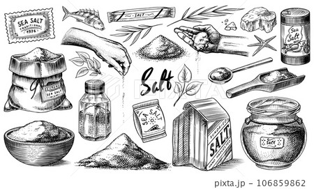 Premium Vector  Vintage and cute illustration of a salt and