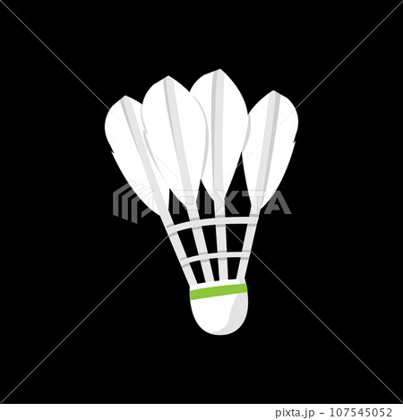 Badminton shuttlecock and rocket. Sports doodle vector