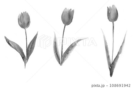 花 植物 水墨画 墨絵のイラスト素材 - PIXTA