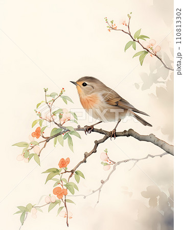 鶯の木の写真素材 - PIXTA