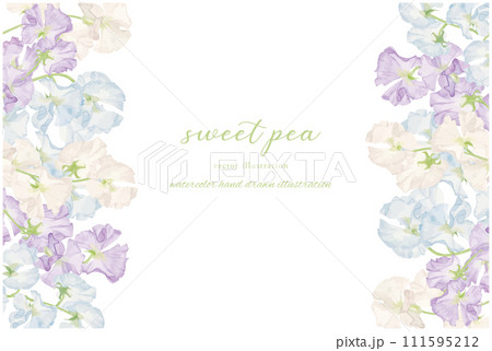 スイートピーのイラスト素材 - PIXTA