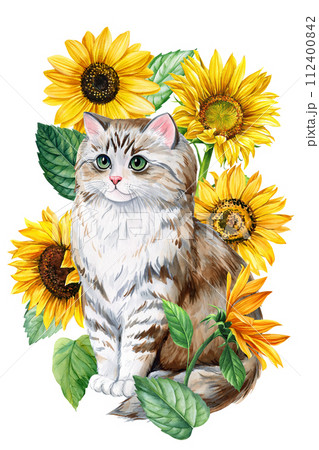 ねこ ネコ 猫 ひまわりのイラスト素材 - PIXTA