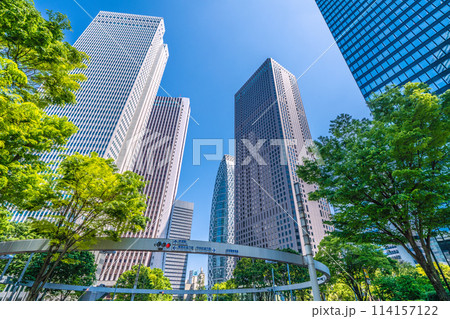 新宿裏交差点の写真素材 - PIXTA