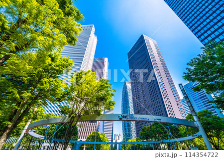 新宿裏交差点の写真素材 - PIXTA