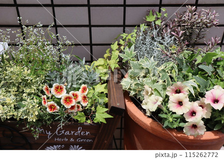 感謝価格❣️Aloha～❣️プルメリア、バラ、ウクレレ夏アレンジ❁⃘*.゜