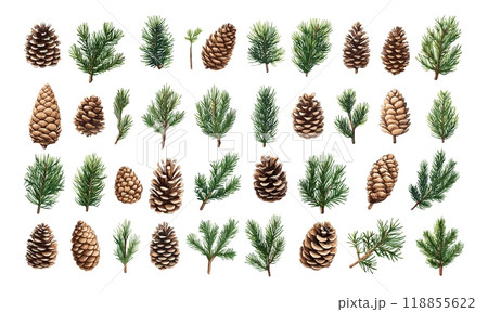 松ぼっくり　手描きイラスト　オリジナル　水彩画 Melt paint and draw 【Watercolor technique】 Pine cone # 1