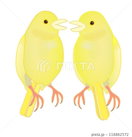 カナリアイラストオーダー カナリアイラストオーダー KANARIA🐤illustrator