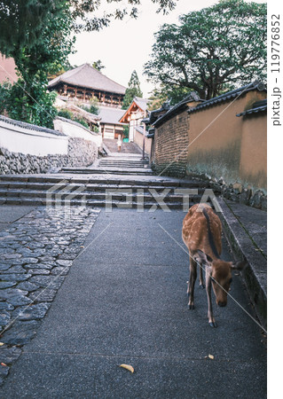 東大寺二月堂裏参道の写真素材 - PIXTA