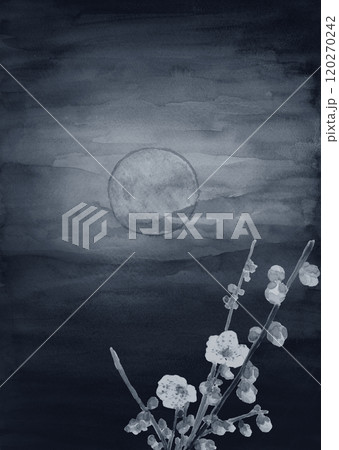 朧月夜ページ 朧月夜の写真・画像素材 - Snapmart（スナップマート）