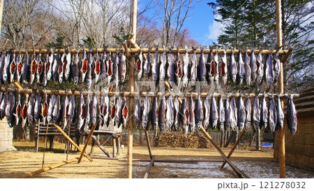 ポロト湖畔に誕生した素晴らしいウポポイ