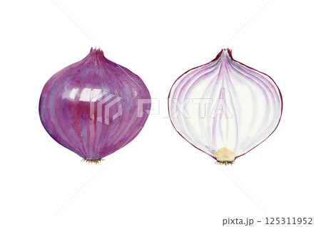 たまねぎ似顔絵 玉ねぎのイラスト素材(11,082点以上の高品質なイラスト素材) - PIXTA