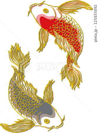 こい 魚 コイ 鯉のイラスト素材 - PIXTA
