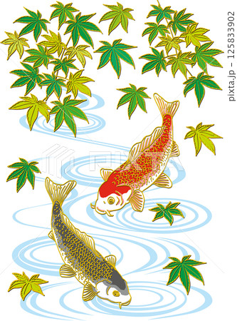 鯉・錦鯉のイラスト素材(9,546点以上の高品質なイラスト素材) - PIXTA
