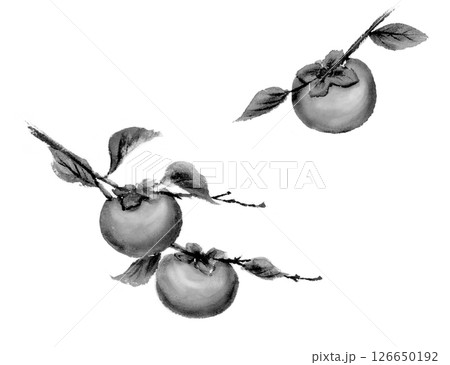 柿 水墨画 イラスト 墨絵の写真素材 - PIXTA