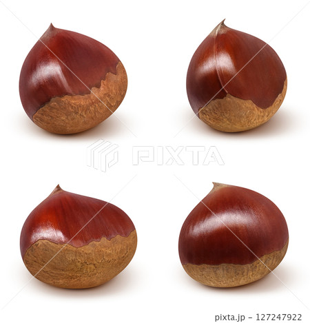 一個の栗の写真素材 - PIXTA