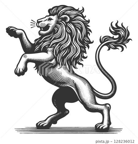 ライオン スケッチ 写生 動物のイラスト素材 - PIXTA