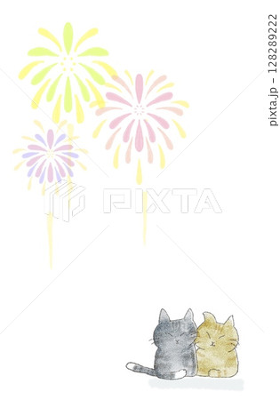 猫花火の写真素材 - PIXTA
