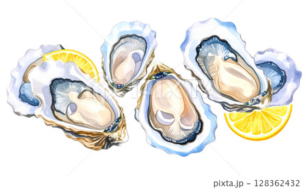 貝で作成している絵 ホタテ貝の絵付け ～岩手県立水産科学館の体験～ | 宮古観光文化交流協会