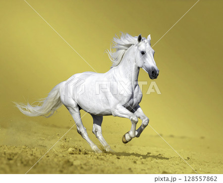 馬のいる景色 馬のいる景色の写真素材 - PIXTA