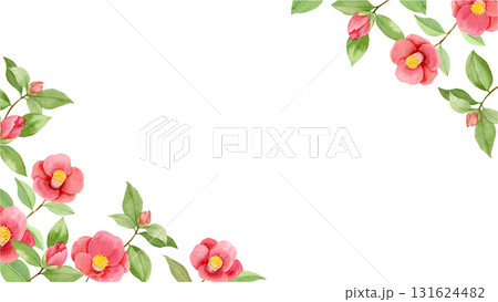 ヤブツバキ 水彩画の写真素材 - PIXTA